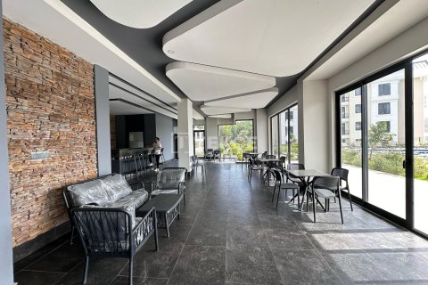 3 bedrooms Apartment in Chau Lang, Vietnam No. 10994 20