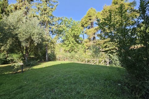 4 bedrooms Maisonette in Chalkidiki, Greece No. 107203 16