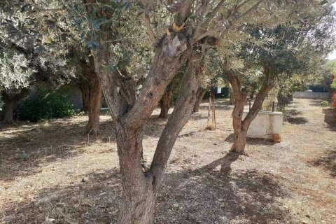 547m² Land in Vari, Greece No. 108619 7