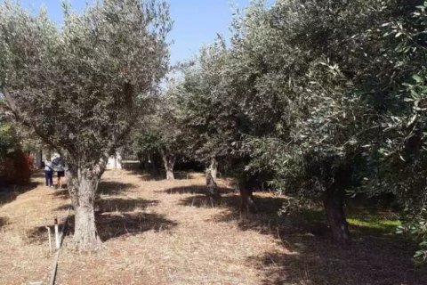 547m² Land in Vari, Greece No. 108619 8
