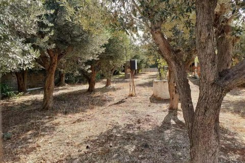 547m² Land in Vari, Greece No. 108619 3