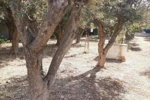 547m² Land in Vari, Greece No. 108619 6