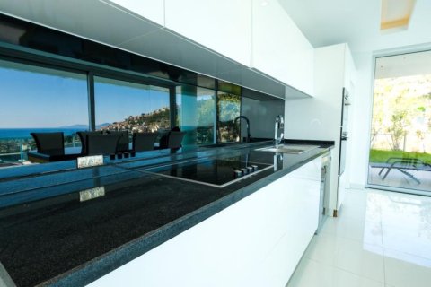 6 rooms Villa in Chau Lang, Vietnam No. 21251 28