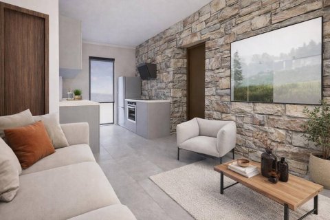 Мезонет с 2 спальнями в Халкидики, Греция №122633 3