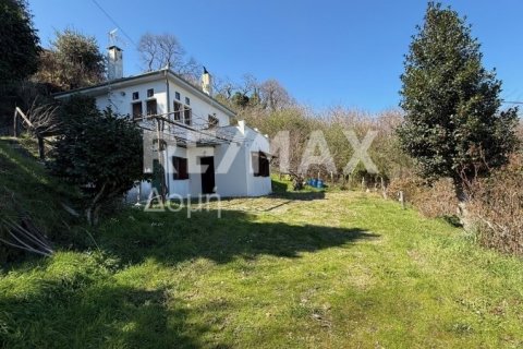 Здание с 3 спальнями в Муреси, Греция №83414 2