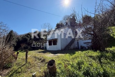 Здание с 3 спальнями в Муреси, Греция №83414 5