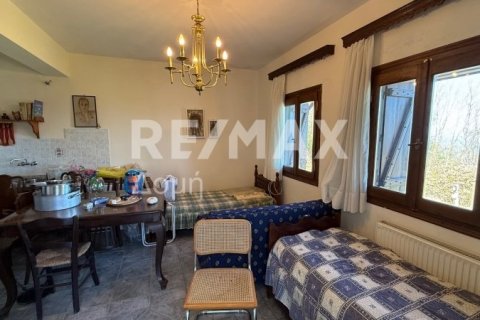 Здание с 3 спальнями в Муреси, Греция №83414 25