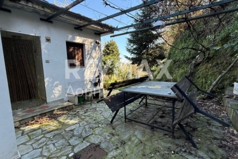 Здание с 3 спальнями в Муреси, Греция №83414 7