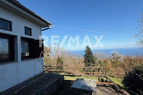 Здание с 3 спальнями в Муреси, Греция №83414 4