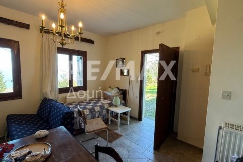 Здание с 3 спальнями в Муреси, Греция №83414 24