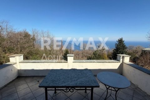 Здание с 3 спальнями в Муреси, Греция №83414 15