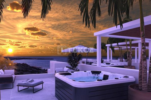 2 bedrooms Penthouse in Phu Ngai, Vietnam No. 17543 5