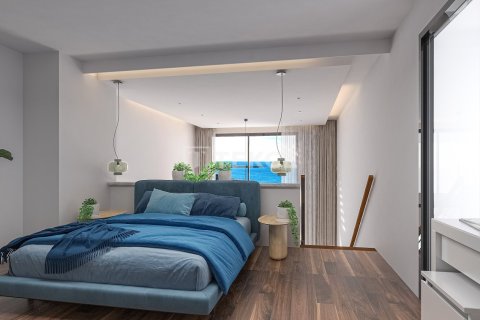 2 bedrooms Penthouse in Phu Ngai, Vietnam No. 17543 13