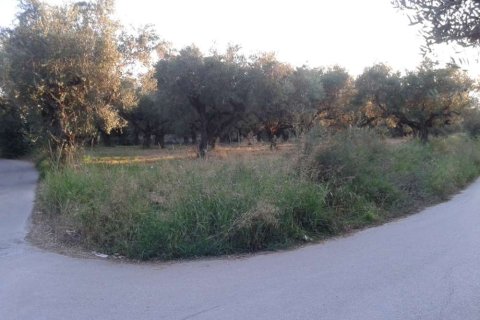Land in Zakynthos, Greece No. 24520 1