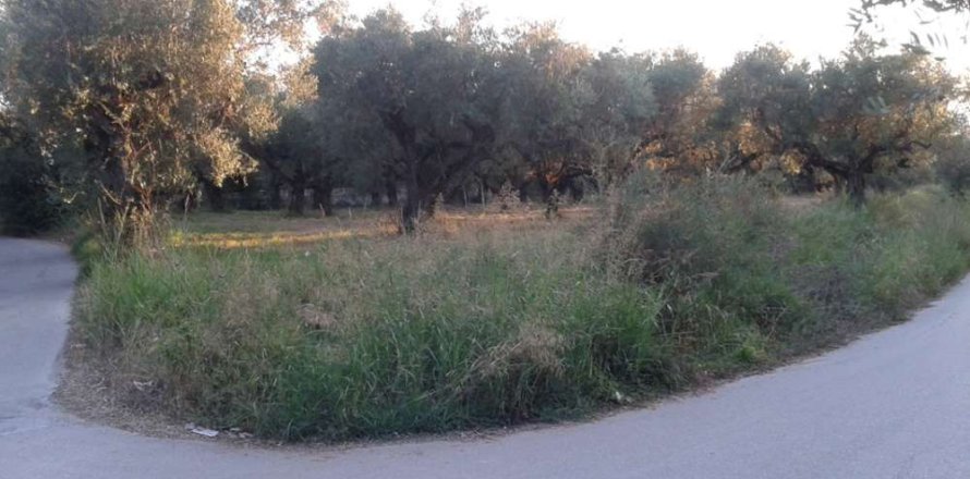 Land in Zakynthos, Greece No. 24520