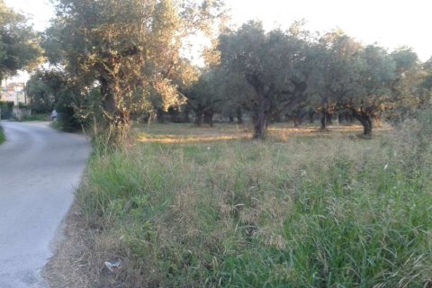 Land in Zakynthos, Greece No. 24520 5