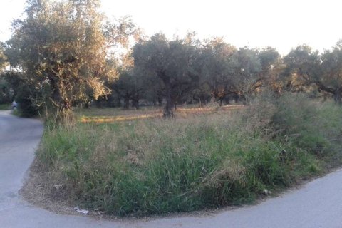 Land in Zakynthos, Greece No. 24520 9