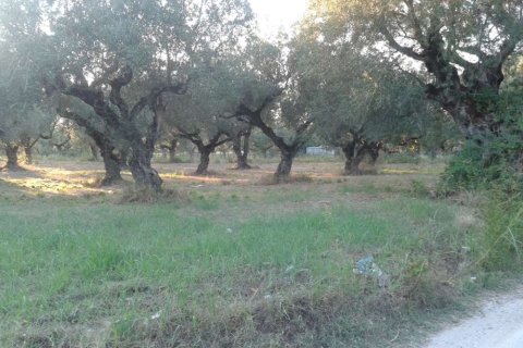 Land in Zakynthos, Greece No. 24520 4