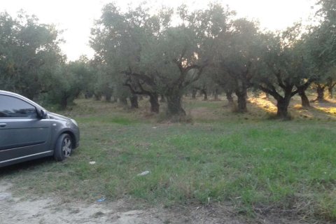 Land in Zakynthos, Greece No. 24520 8