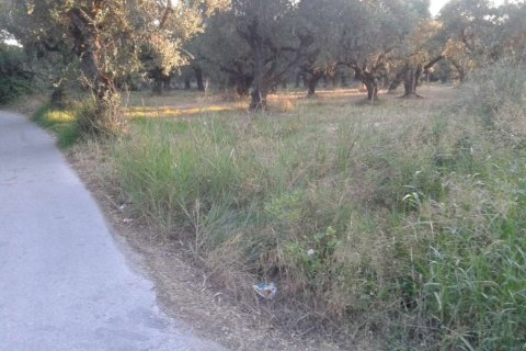 Land in Zakynthos, Greece No. 24520 6
