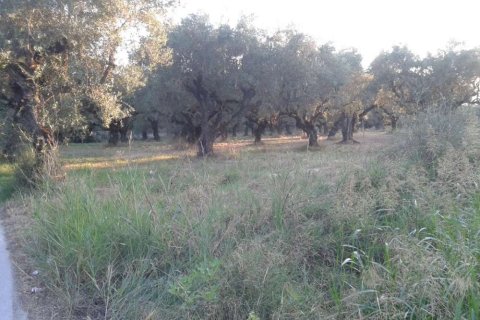 Land in Zakynthos, Greece No. 24520 3