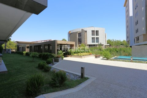 2 bedrooms Apartment in Phu Tan, Vietnam No. 46570 5