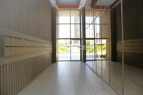 2 bedrooms Apartment in Phu Tan, Vietnam No. 46570 25