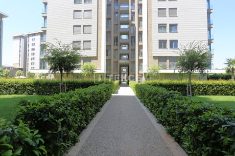 2 bedrooms Apartment in Phu Tan, Vietnam No. 46570 6