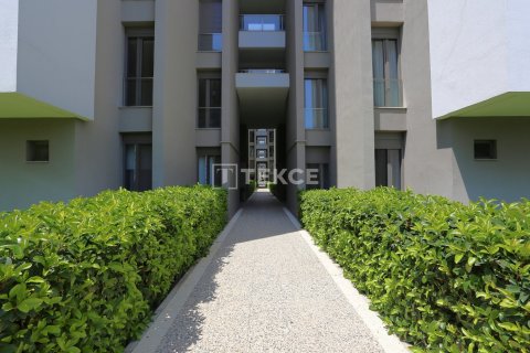 2 bedrooms Apartment in Phu Tan, Vietnam No. 46570 7