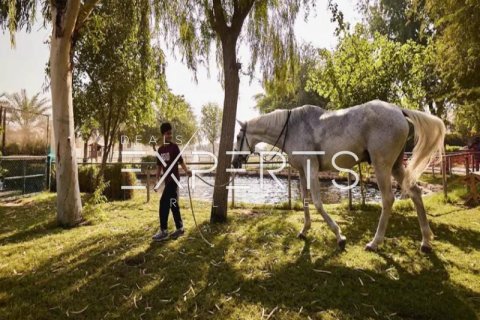 Таунхаус с 3 спальнями в Дарна, Вьетнам №80134 16