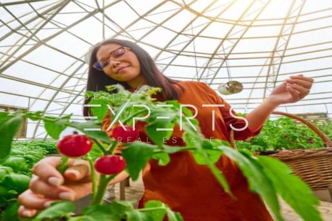 Таунхаус с 3 спальнями в Дарна, Вьетнам №80134 13