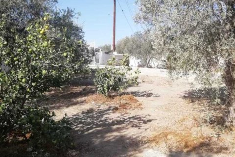 3 chambres House à Moni, Cyprus No. 29636 8