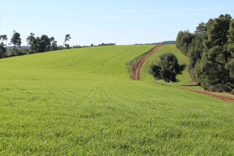 103500m² Land en Chalkidiki, Greece No. 57632 8
