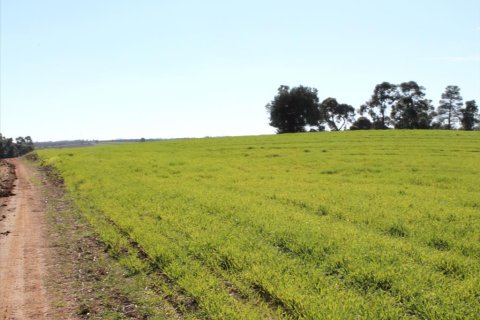 103500m² Land en Chalkidiki, Greece No. 57632 1