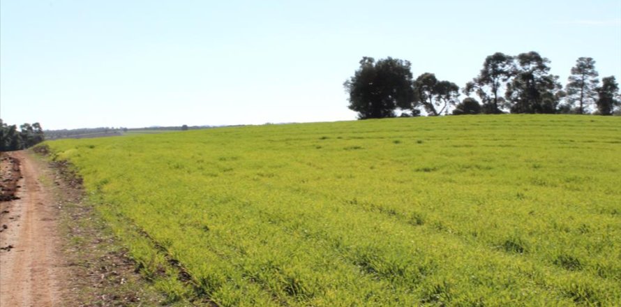 103500m² Land en Chalkidiki, Greece No. 57632