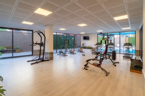 2 bedrooms Penthouse in Chau Lang, Vietnam No. 16223 5