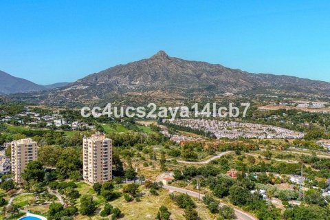 3 bedrooms Office in Thuan Nam, Vietnam No. 92361 6