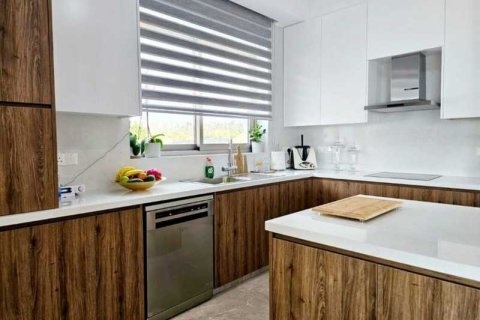 4 dormitorios Villa en Empa, Cyprus No. 84442 16