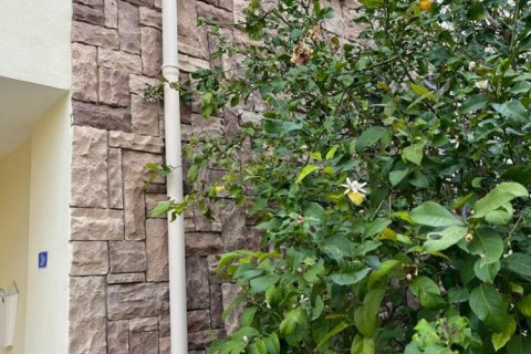 3 dormitorios Villa en Ninh Kieu, Vietnam No. 16096 23