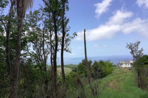 16835m² Land in Saint George, Dominica No. 66281 1