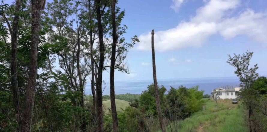 16835m² Land in Saint George, Dominica No. 66281