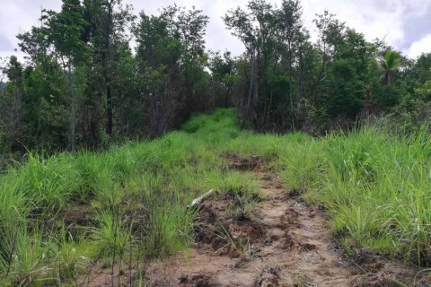 16835m² Land in Saint George, Dominica No. 66281 6