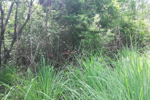 16835m² Land in Saint George, Dominica No. 66281 9