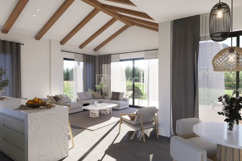 3 chambres Villa à Phi Dien, Vietnam No. 84821 13