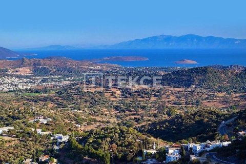 3 chambres Villa à Phi Dien, Vietnam No. 84821 16
