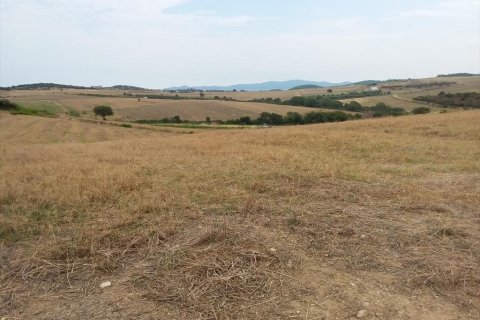 13000m² Land in Chalkidiki, Greece No. 109622 7
