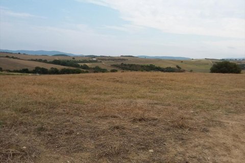 13000m² Land in Chalkidiki, Greece No. 109622 5