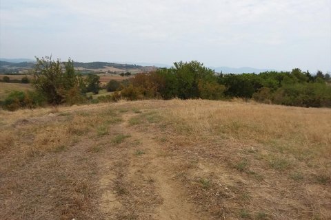 13000m² Land in Chalkidiki, Greece No. 109622 6