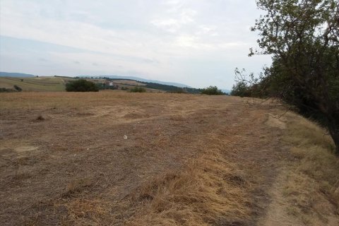 13000m² Land in Chalkidiki, Greece No. 109622 9