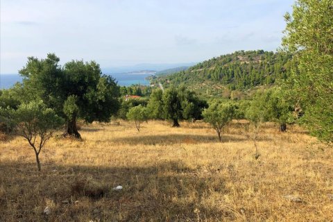 4078m² Land in Chalkidiki, Greece No. 56423 2